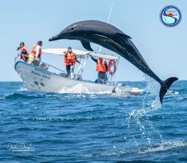 Foto Sartiaguin Tours 2