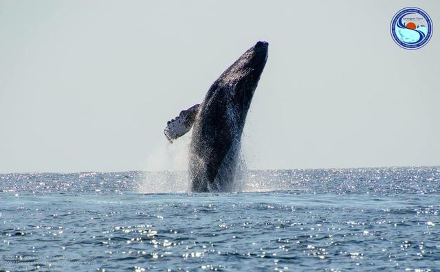 Foto Sartiaguin Tours 3