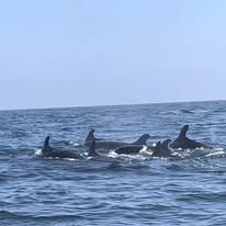 Foto Sartiaguin Tours 6